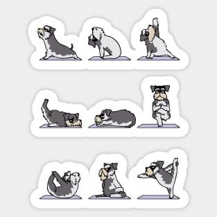 Miniature Schnauzer yoga Sticker